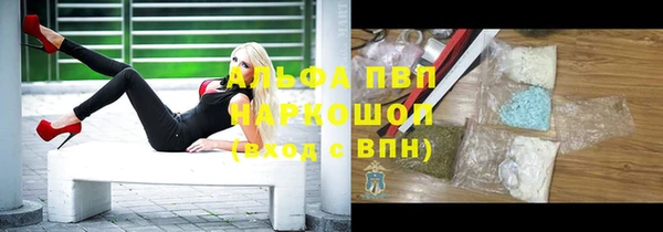 СК Богородск