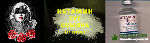 СК Мурманск