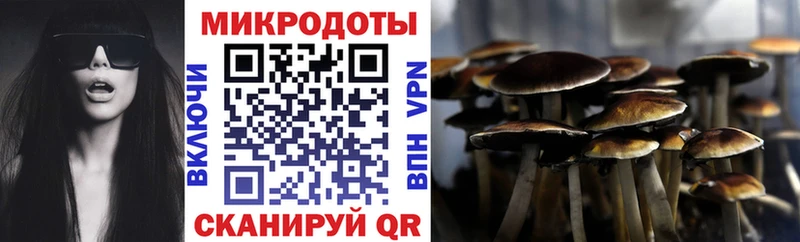 Псилоцибиновые грибы прущие грибы  маркетплейс клад  Кузнецк  mega ONION 