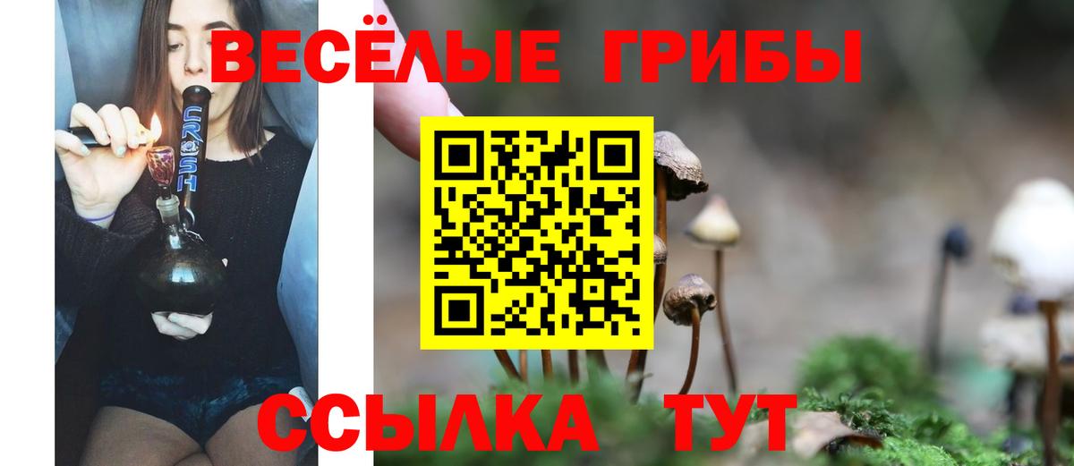 Кузнецк  Псилоцибиновые грибы Psilocybine cubensis  Вход с VPN 